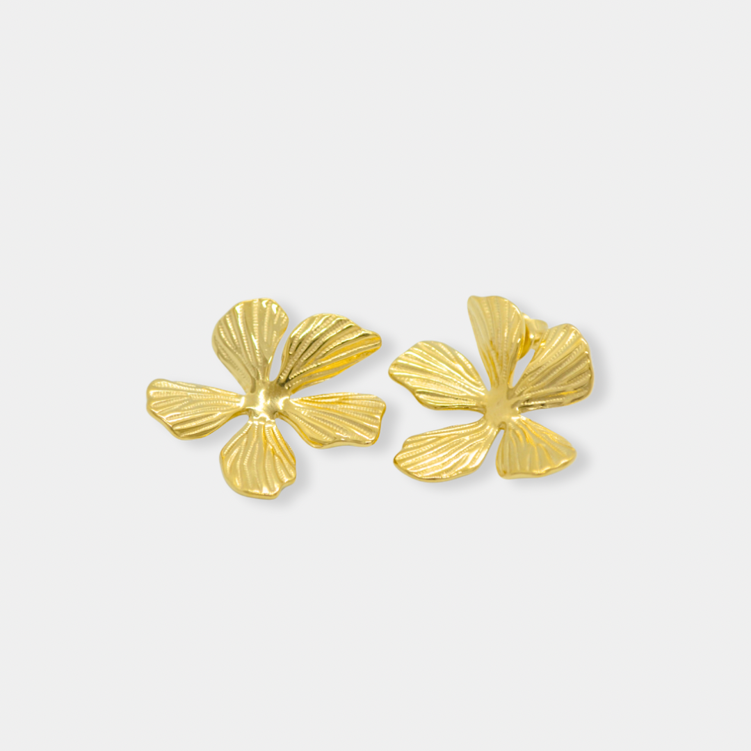 Aretes Emilia Acero Inoxidable