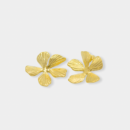 Aretes Emilia Acero Inoxidable